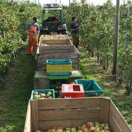 Miller's Biohof בית חווה *