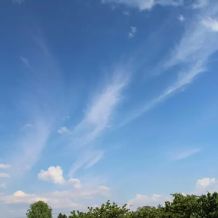 Miller's Biohof مزرعة للإقامة