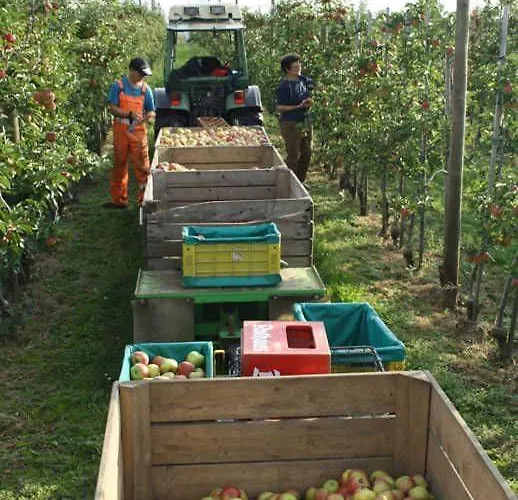 Miller's Biohof مزرعة للإقامة *