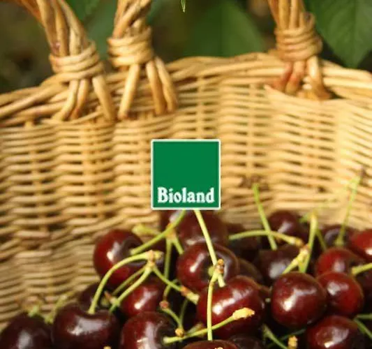 مزرعة للإقامة Miller's Biohof *